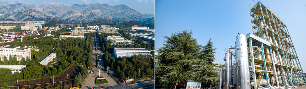 必一体育·(中国)官方网站